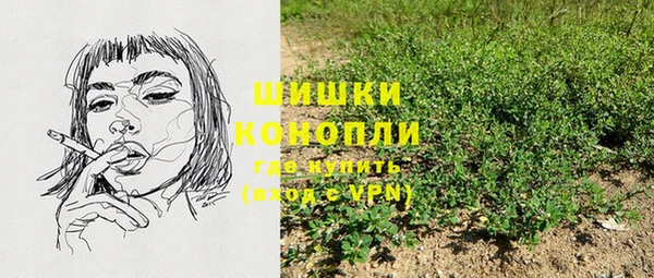 ГАЛЛЮЦИНОГЕННЫЕ ГРИБЫ Балабаново