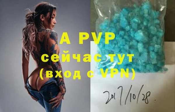 сатива Баксан