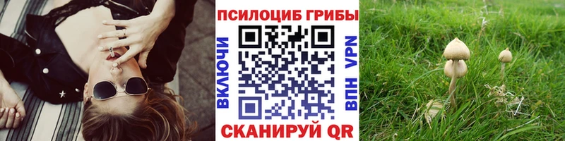 ОМГ ОМГ как войти  Кириллов  Галлюциногенные грибы ЛСД  что такое  